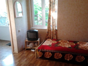 Guest House Novorossiyskaya 47